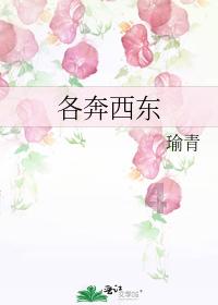 澳门上班可以退个人所得税吗游戏画面